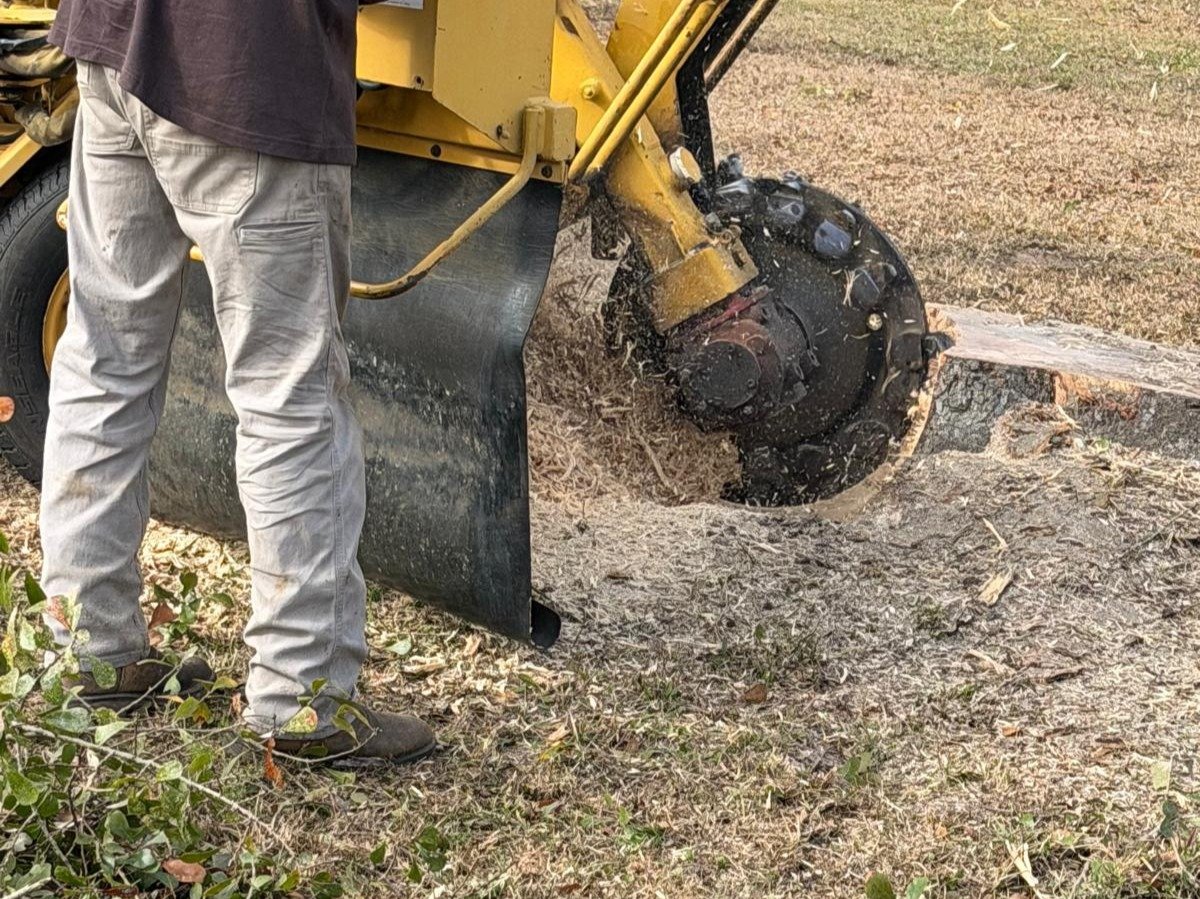 El Costeño Tree Service LLC